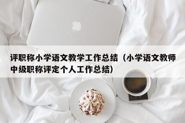 评职称小学语文教学工作总结（小学语文教师中级职称评定个人工作总结）